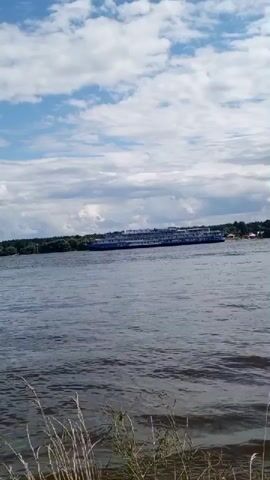 A wide shot shows a river with a large blue and white cruise ship sailing on it. The ship is in the middle of the river and is long and multi-decked. The river is choppy with small waves. The sky is blue with some white clouds. The shoreline in the distance is lined with trees and some buildings. In the foreground, there are tall grasses and some green plants on the bank. The camera is positioned low, near the water level. The overall lighting suggests it is daytime, likely a sunny day with some cloud cover.