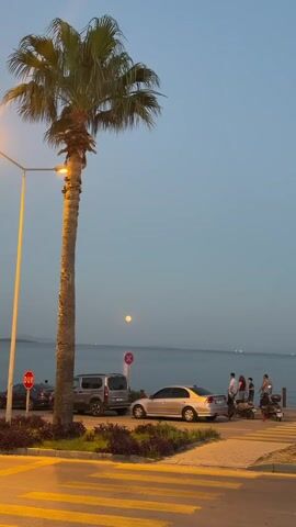A street scene at dusk with a prominent palm tree on the left. Several cars and motorcycles are parked along the waterfront. A group of people are standing near the cars. The sky is a pale blue, and a full moon is visible in the distance over the water. The foreground features a crosswalk with yellow markings.