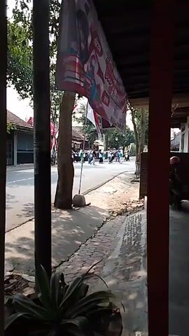 A group of people, likely students, are marching down a street lined with trees and houses. The group is wearing white shirts and dark pants. They are carrying flags and banners, some of which appear to be patriotic in nature. The street is paved, and there is a sidewalk on the right side of the frame. A truck is visible in the background. The scene appears to be taking place during the daytime, with sunlight casting shadows on the ground. The video is framed by vertical dark brown posts, suggesting it was filmed from behind a fence or window. A plant is visible in the foreground at the bottom of the frame.