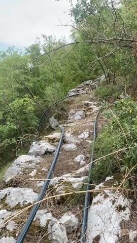 The video pans across a rocky, overgrown path lined with two parallel metal rails, suggesting an abandoned railway or similar track. Dense green foliage and trees dominate the surrounding environment, with some branches hanging over the path. Large rocks are scattered along the ground. The sky above is partly cloudy. The camera angle shifts, offering views of a green, tree-covered hillside and then returning to the track.