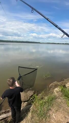 A boy in a black shirt and pants stands on a rocky, grassy embankment next to a large body of water. He holds a black fishing net in his right hand, extending it towards the water where a fish is splashing and thrashing, creating ripples. A fishing rod extends into the frame from the top right corner. The sky above is blue with scattered white clouds. In the distance, a tree line is visible across the water. The sun is shining.