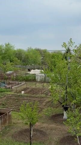 From an elevated position, the video presents a view of a backyard garden. Two people are working in the garden. One is tending to a plot near the foreground. The second individual works closer to the background, sitting near a white sheet on the ground. The garden contains raised beds, plastic hoops that create low tunnels and a partially-visible wooden fence. Beyond the backyard are green trees and shrubs.