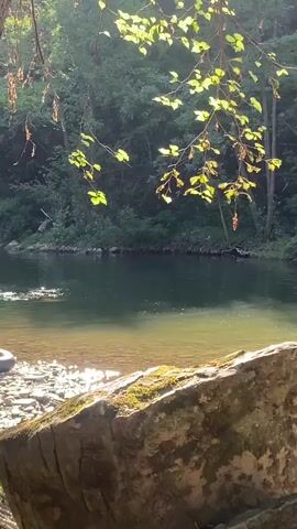 The video shows a tranquil river flowing through a lush forest. In the foreground, a large, moss-covered rock sits by the water's edge. Sunlight filters through the leaves of trees overhead, casting dappled shadows on the water. The river is clear, with a shallow area near the bank where the water is illuminated by the sun. Further out, the water is a deep green, reflecting the surrounding trees. The opposite bank is lined with dense vegetation and rocky outcrops. The overall scene conveys a sense of peace and natural beauty. There are no people or animals visible in the video.