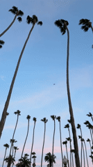 Santa Monica beach captured during cloudy sunset conditions