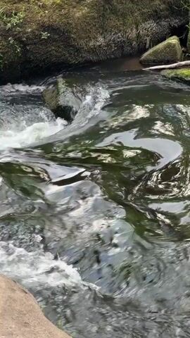 This is a close-up video of a fast-flowing stream in a natural setting. The water is clear and dark, with white foam and ripples indicating its movement. Large, moss-covered rocks are visible on the banks of the stream, and lush green foliage surrounds the water. The lighting suggests it is daytime, with sunlight filtering through the trees, casting reflections on the water's surface. The overall mood is tranquil and natural, evoking a sense of peace and the untouched beauty of the wilderness. The location is identified as Irrel, Germany.
