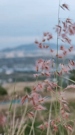 Hilltop views over Nha Trang's coastline and city below