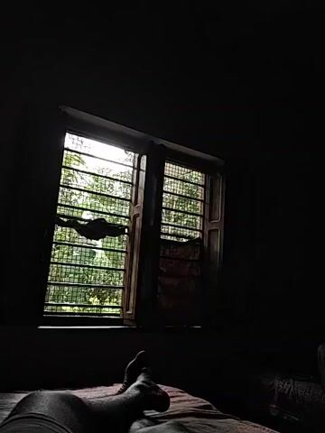 The video shows a dimly lit room with a person's feet visible in the foreground, resting on a bed. A window with bars is open, revealing a lush green environment outside, likely trees and foliage. Some cloth is hanging on the window bars. The lighting suggests it might be early morning or late evening.