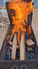 Outdoor fire burns in metal brazier during morning hours