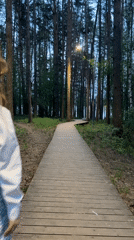 Woman walks forest boardwalk as hedgehog spotted nearby in Chaikovsky
