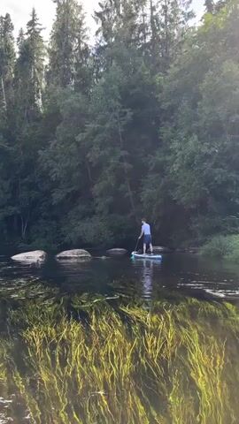 The video shows a person paddleboarding on a river. The person is standing on a paddleboard and holding a paddle. The paddleboard is blue and white. The person is wearing a blue shirt and black shorts. The river is surrounded by trees. The water is dark and there is some aquatic vegetation in the foreground. There are rocks in the river. Sunlight is shining through the trees.
