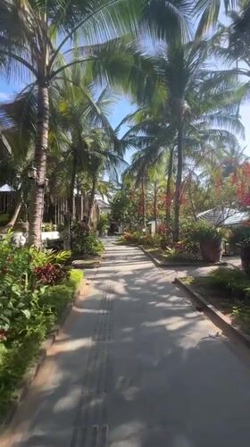 Palm-lined stone pathway on a sunny day in Denpasar