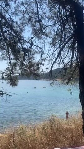 The video shows a serene beach scene viewed through the branches of a pine tree. The water is a clear, bright blue, with a few people visible swimming and kayaking in the distance. The shoreline is lined with dry, golden grass and some scrubby bushes. A person is standing on the beach, facing away from the camera. The overall impression is one of a peaceful, sunny day at the coast.