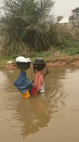Two women wade through muddy water, each carrying a large bowl-shaped object on their head. The woman on the left wears a blue head covering and yellow clothing, while the woman on the right wears an orange head covering and white clothing. The woman on the left also carries a red bucket. They are walking towards a grassy bank with trees and buildings in the background. The sky is overcast.