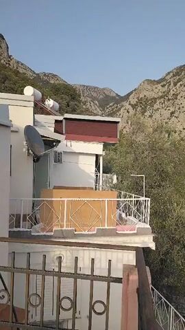 The video shows a panning shot of a village nestled in a mountainous landscape. The foreground features a residential building with a balcony and a metal fence. Beyond the building, olive trees and other vegetation are visible. In the midground, houses with red tiled roofs and white walls are scattered among the trees. A road winds through the village, with a few cars parked along it. The background is dominated by a steep, rocky mountain range. The sky is clear and blue. The overall impression is one of a peaceful, rural setting.
