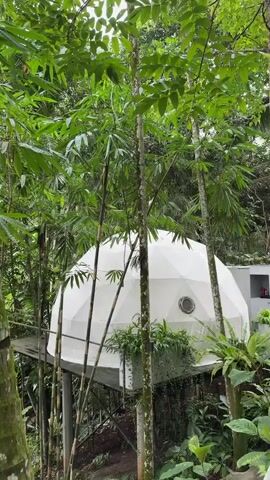 The video shows a lush, green landscape featuring a stream flowing through a forested area. A white geodesic dome structure can be seen partially obscured by trees. The camera pans to the right, revealing more of the flowing water and the dense vegetation. Various tree trunks and fern-like plants are visible, adding to the richness of the scene. A portion of a white canopy or awning is also visible to the left.
