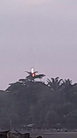 The video shows an airplane with a bright red light appearing to land behind trees. The perspective is from the ground, looking over a rocky shore with water. The sky is overcast. The scene appears to be either dusk or dawn due to the muted light. The trees are silhouetted against the sky.  The camera is mostly static.