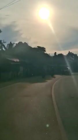 The video is a low-angle shot taken from a vehicle moving along a paved road. The sun is high in the sky, casting a bright glare and lens flares throughout the video. The road curves to the right, with a yellow line marking the center. On the left side of the road, there is a dense cluster of trees and some low-lying structures that appear to be buildings. A motorcycle is visible on the left side of the road, moving away from the camera. Further down the road, two cars are visible, also moving away from the camera. On the right side of the road, there are trees, some of which appear to be bamboo, and overhead power lines. The environment appears to be rural or semi-rural.