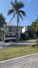 Residential street scene captured in Playa del Carmen