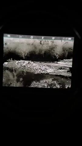 A thermal imaging device displays a monochromatic grayscale landscape. The scene appears to be a body of water in the foreground, with a rocky or uneven bank leading to a densely wooded area in the background. The water reflects the features on the bank. The screen indicates a 2x zoom, a mute icon, a battery indicator and the time 22:33.