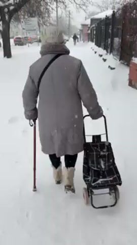 An elderly woman is walking away from the camera, along a snowy sidewalk, using a red and brown cane for support. She's bundled in a gray padded coat, black pants, and light-colored, ankle-high boots. On her head, she wears a quilted white cap with a fur trim. A black shoulder bag is slung across her body. The woman pulls a small metal shopping cart behind her, covered with a plaid bag. It is actively snowing. A street with distant cars and buildings is visible to the left, while a fence borders the sidewalk to the right. The overall tone is wintry and solitary.