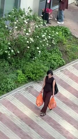 The video shows a woman walking on a brick-paved sidewalk carrying two orange plastic bags. She is wearing a sleeveless dark brown top, brown pants, and sandals. A black bag hangs from her shoulder. A bush with white flowers and green foliage is visible to her left. The sidewalk is paved with light brown and reddish-brown bricks in a striped pattern. A building is partially visible in the background, and there is green landscaping nearby.