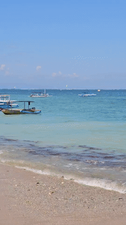 Morning beach activities in Denpasar feature kitesurfing and group gatherings