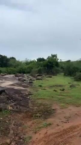 The video shows a dirt road in a rural area on an overcast day. The road is reddish-brown and has tire tracks. On either side of the road is low-lying green vegetation and scattered trees. A rocky area is visible on the left side of the road. The sky is grey and cloudy.
