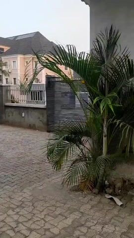 The video shows a paved driveway with a palm tree on the right and a building visible behind a gated fence. The camera zooms in slightly towards the fence, focusing on the slats.