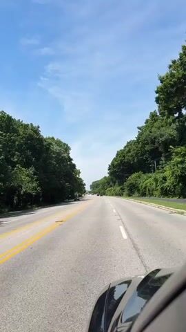This is a first-person perspective video of someone driving on a two-lane road lined with lush green trees on both sides under a clear blue sky with scattered white clouds. The road has a double yellow line on the left side and white dashed lines marking the lanes. The dashboard and part of the car's hood are visible in the foreground. Several cars can be seen in the distance on the road. The trees appear dense and healthy, suggesting a natural, possibly rural or suburban environment. The sun is bright, indicating daytime. The video is short and shows continuous forward motion.