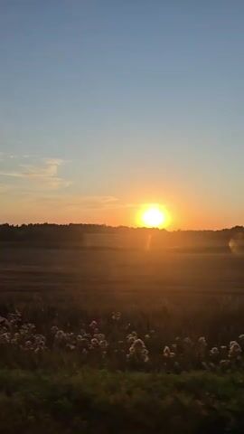 The video shows a view from a moving vehicle during sunset. The sun is a bright, orange orb low in the sky, casting a warm glow over a rural landscape of fields and trees. The sky transitions from a clear blue at the top to softer orange and pink hues near the horizon. The vehicle appears to be on a paved road with a white line marking the edge. The vegetation alongside the road is green and brown, suggesting a late summer or early autumn setting.