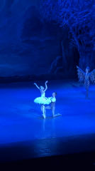 Ballet performance with traditional costumes staged in Tbilisi