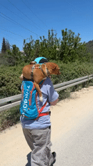 Woman carries dog in backpack on Jerusalem hiking trail