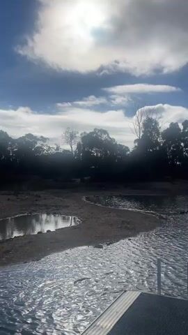 This is a vertical, low-angle video filmed outdoors on a sunny day with a few clouds in the sky. The foreground shows the edge of a body of water with ripples and reflections. A small section of a grey platform with two white railings is visible in the bottom right corner. The middle ground shows a shoreline with dry, sandy areas and some shallow water. Trees line the far bank of the water. The video pans slightly to the right, revealing more of the shoreline and the water. There are no people clearly visible in the frame, though there may be small dark shapes in the water that could be ducks or other wildlife. The overall environment appears to be a natural landscape with a body of water, possibly a lake or reservoir.