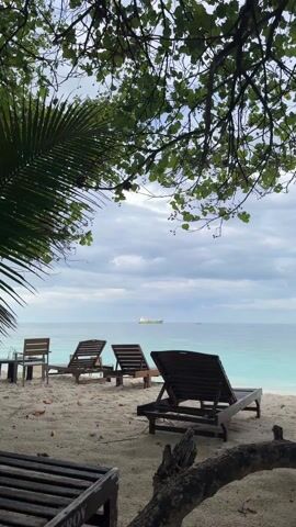 The video shows a view from a sandy beach with several wooden lounge chairs. The water is a turquoise color, and a large, green cargo ship is visible on the horizon. The sky is cloudy and overcast.  There are trees and palm branches in the foreground, framing the view. The video appears to be stationary.
