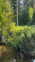 Peaceful lake scene documented in early morning Votkinsk