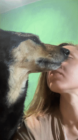 Woman shares tender moments with pets in Nizhny Tagil home
