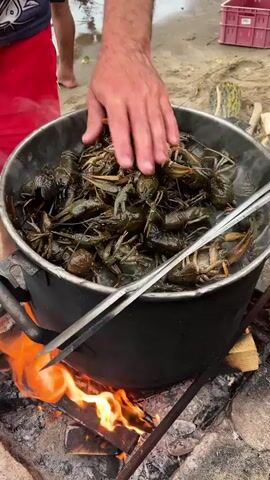The video captures a close-up view of a large pot filled with live crawfish being cooked over an open fire on a sandy beach. Two pairs of hands, presumably belonging to one or more individuals, are seen actively stirring and arranging the crawfish in the pot with metal tongs. The pot is black and appears to be made of metal, with two handles. It rests on a makeshift fire pit constructed from stones, with burning logs creating bright orange flames underneath. Steam rises from the pot, indicating that the water is boiling.

In the background, out of focus, a person wearing red shorts and barefoot is standing on the sandy shore. Another person's legs, also barefoot, are visible in the upper left corner. A pink plastic crate is visible in the far background. The scene suggests an outdoor cooking activity, possibly a meal preparation on a beach. The lighting and the presence of sand and water indicate it is daytime. The overall atmosphere seems to be one of casual, rustic food preparation. No text is visible in the media file. The location context provided is Ust-Belsk, Russia.