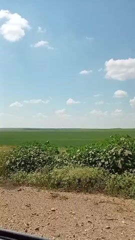 A video shows a car moving on a dirt road next to a field of green crops. The sky is blue with scattered white clouds. Some wildflowers are visible along the side of the road.