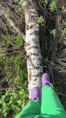 The video begins with a downward shot of a person in green pants and purple slippers walking across a birch log lying on a grassy, overgrown area. The camera follows as the person steps off the log and moves towards a small lake. The camera angle shifts to reveal a tranquil lake reflecting the sky and surrounding trees. A swan is swimming in the lake, surrounded by small clumps of grass growing on what appears to be a fallen log. The foreground features reeds and grass along the shoreline.
