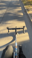 Cyclist rides tree-lined road in Martínez, Argentina