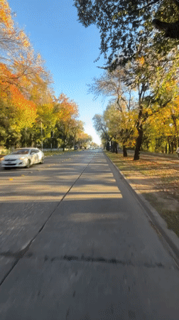 Cyclist rides tree-lined road in Martínez, Argentina