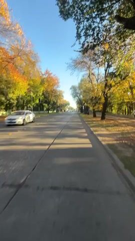 The video, likely shot with a wide-angle lens, depicts a first-person perspective of someone riding a bicycle along a paved road.  The road is framed by trees, with some showing autumnal colors, on either side. The sky is clear and blue. At one point, the rider looks directly at the camera, revealing a person wearing an orange knit hat, a gray hooded sweatshirt, a camouflage-patterned jacket, and a light-colored neck warmer. They also appear to have earbuds in. The perspective then returns to the view from the handlebars, showing the road stretching ahead.
