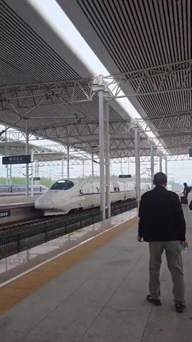 A high-speed train is visible at a train station. The train is white with blue accents and is on the tracks. A man in a dark jacket and light-colored pants stands on the platform, facing away from the camera and towards the train. The platform is made of stone tiles and has a yellow safety line along the edge. The station has a large, modern, covered roof supported by white pillars. The sky appears overcast.