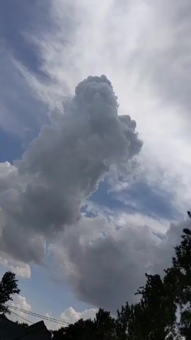 The video shows a view of a cloudy sky. A large, grey cumulonimbus cloud dominates the scene, surrounded by other clouds and patches of blue sky. The tops of trees and a rooftop are visible at the bottom of the frame. A bird flies briefly across the lower portion of the cloud. The overall impression is of an overcast day.