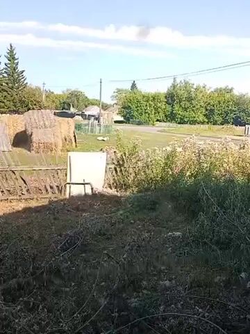 The video shows a rural scene with several geese in a grassy area. In the foreground, there is overgrown vegetation and some discarded items, including a white panel leaning against a wooden structure. In the background, there are hay bales, a wooden fence, and some houses and trees. The sky is blue with some clouds. One goose is lying down, while others are standing or walking.