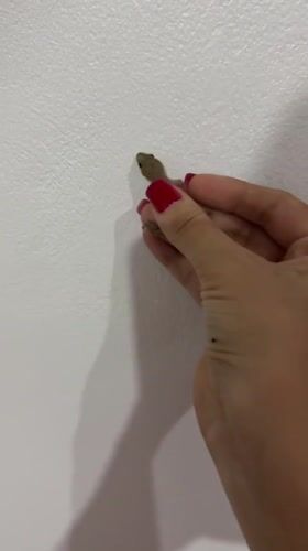 Small lizard handled near insecticide in Tampaksiring, Indonesia