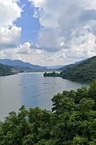 The video shows a wide aerial view of a serene lake surrounded by lush green hills and mountains under a cloudy sky. The water surface of the lake is calm and reflects the sky. There are some man-made structures, possibly fish farms or rafts, scattered across the lake. Dense foliage from trees in the foreground frames the view, creating a natural border. The overall atmosphere is tranquil and picturesque, capturing a beautiful natural landscape.