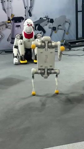 A video shows a robot with a white and yellow body and four legs. The robot is standing on a gray floor in front of two other robots. One of the robots in the background is white with red accents and appears to be sitting. The other robot in the background is white and has a more quadrupedal design. The robot in the foreground moves its arms up and down.