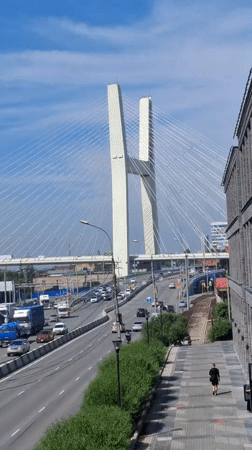 Summer morning across Novosibirsk: roads, parks, and blooming daylilies