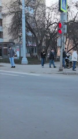 A short video shows pedestrians crossing a street at a crosswalk. The crosswalk has a traffic light that changes from red to green as the pedestrians begin to cross. Some people are wearing light-colored jackets or coats. The trees are bare of leaves. Cars wait for the pedestrians to cross and then begin to drive. There is a bus shelter with advertisements visible on the sidewalk.